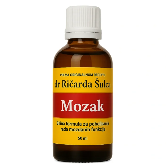 MOZAK - Slika 1
